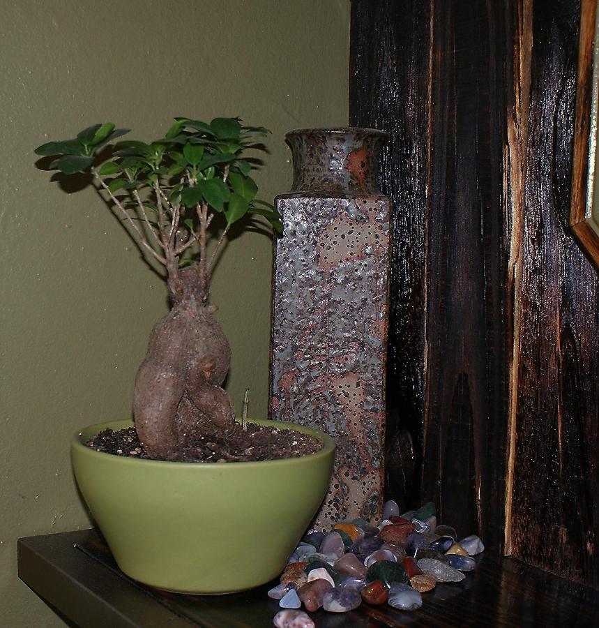 Ashtree Guesthouse Hanover Road Buitenkant foto