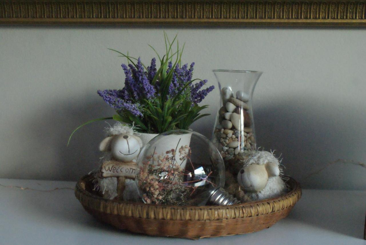 Ashtree Guesthouse Hanover Road Buitenkant foto