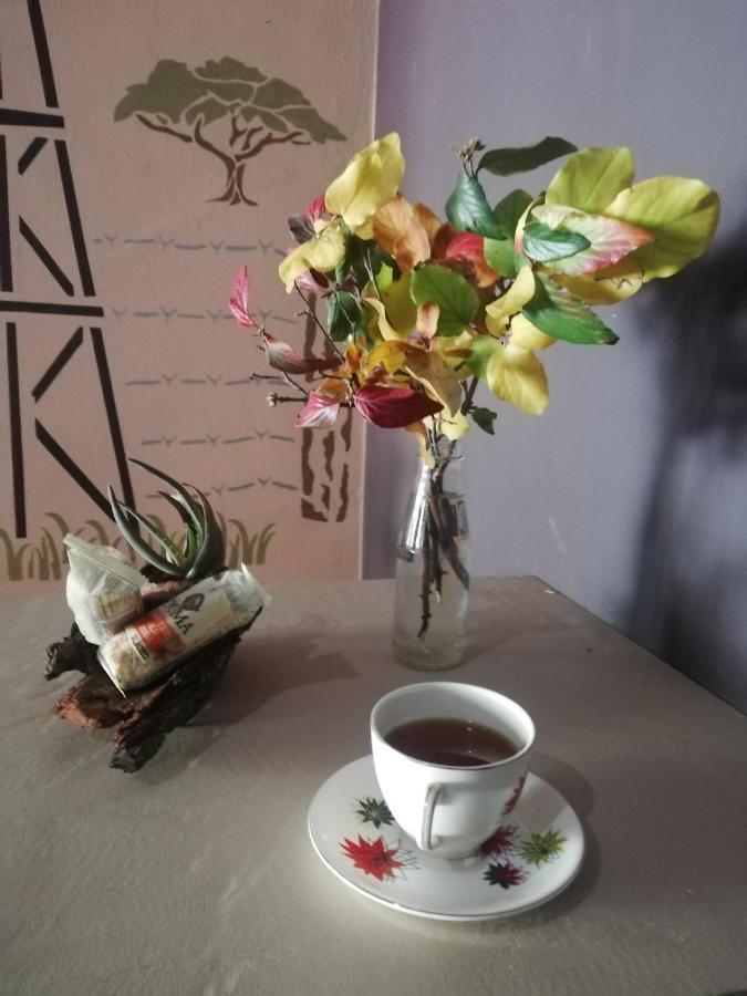 Ashtree Guesthouse Hanover Road Buitenkant foto