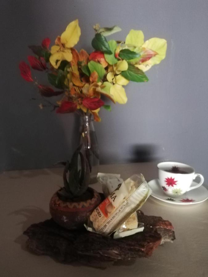 Ashtree Guesthouse Hanover Road Buitenkant foto